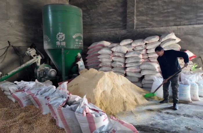 秋收曲未終，牧歌又起時——“科學育肥”巧念增收經